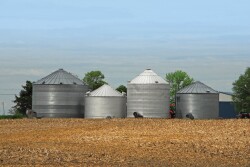 Grain storage can be a tool, but storing too long can be a major fault in grain marketing. 
