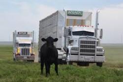The choice of "movement assistance device" may affect the loading outcome.