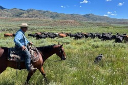Butch Jensen, Tavaputs Ranch, eastern Utah.