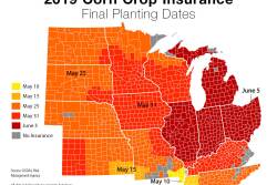 The USDA announced today producers participating in federal crop insurance who have a payable prevented planting indemnity for 2019 will automatically receive an extra payment