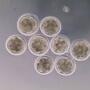 Highly buoyant embryos with long descent times fail to develop at a significantly higher rate compared with the rest of the cohort. 