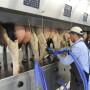 Worker attaching milker units.