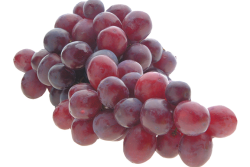 7480311D-45A3-4763-B5B4F5B54D7C503E.png