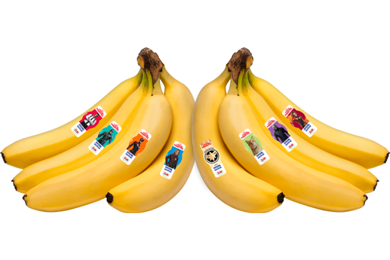 17367231-FAA9-467B-A45C533719AA3F86.png