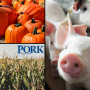 Porktober