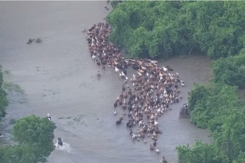 Texas_Flood_Round_Up