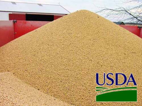 USDA-soybean-pile2.jpg