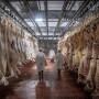 USDA Beef Inspection