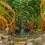 “Frankly, anybody who predicts this case is a bold fool. This case could bring radical change to water law regardless of what state you are in," says Noah Hall.