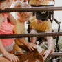 Nebraska kids and calf
