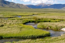 Little Lost River Ranch