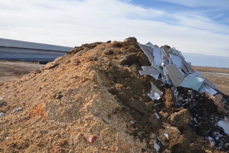 Compost Pile