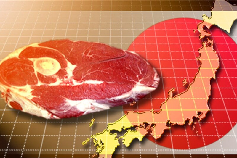 Japan Beef