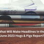 Hogs and Pigs Headlines