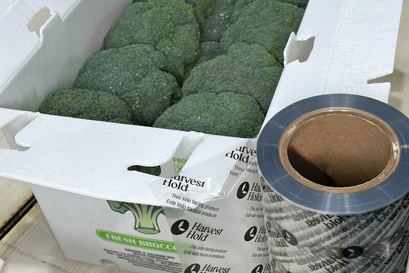 verdant.jpg