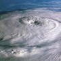 “They don't want it all blown flat in the field,” she said. “They're hoping they're going to come out a little bit better than last year after Hurricane Florence.”