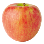 2BD7DA67-95BB-441A-AA05345E56E85BC2.png