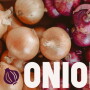 FDC1C855-9C9A-41CF-8DD94C967CDF2DA3.jpg