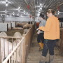 Amy Halbrook and Lidia Williams at Tosh Farms