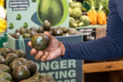 The arm of a shopper is in the photo, with an avocado in hand near a bin of avocados in a store