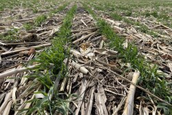 If you’ve been thinking about making the transition to climate-smart agriculture, the IRA’s financial assistance for on-farm conservation practices could be just the boost you need. 