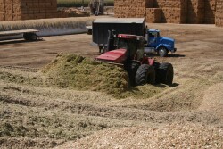 Packing silage piles is critical for removing as much oxygen as possible