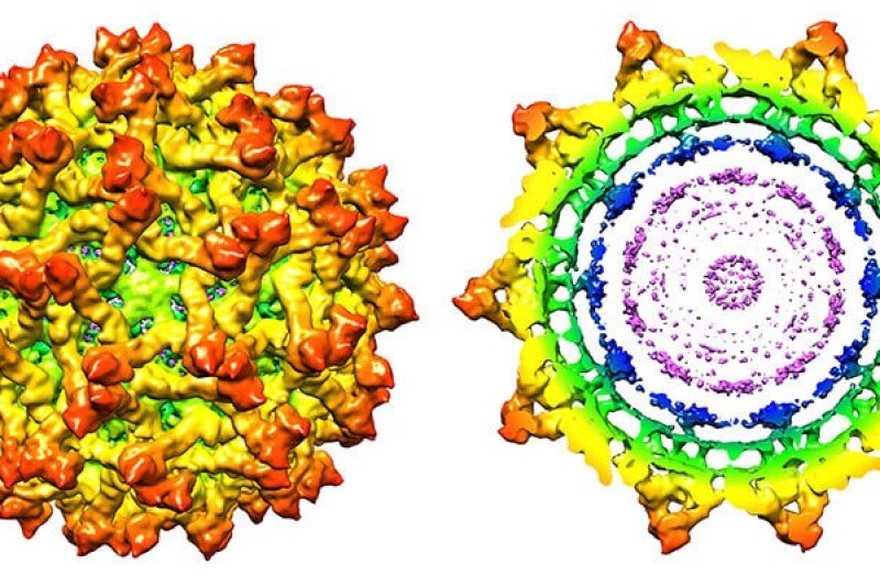 This high-resolution structure of the immature Zika virus discovered by Purdue scientists provides insights important to the development of effective antiviral treatments and vaccines. The tools used to solve this structure also will help advance animal health care through research in structural biology, microbiome discovery and protein evolution that Purdue and Elanco are collaboratively conducting.  
