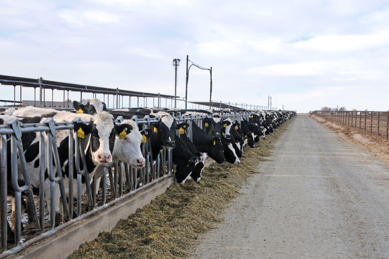 “What do farmers want? They want trade. Nobody wants a payment,” Ford said. “If they have to have an interim payment, they would like something more reflecting the loss in the market that hit them.”