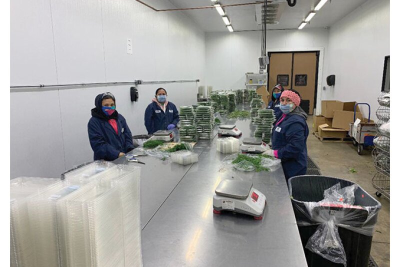 Workers at Coosemans-Denver are set to resume packing retail herbs in clamshells for a major supermarket chain. Coosemans is a specialty produce supplier that offers hundreds of products, including ginger, shallots and fresh culinary herbs, says Garrick Macek, vice president of operations.