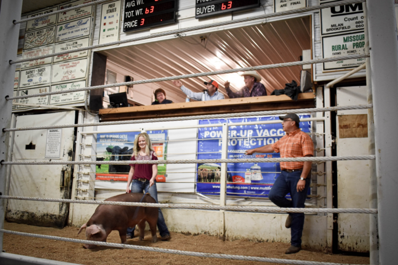 Sullivan County 4-H and FFA Youth Livestock Sale on Sept. 21, 2020, Milan, MO.
