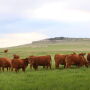 Pumpkin Creek Ranch