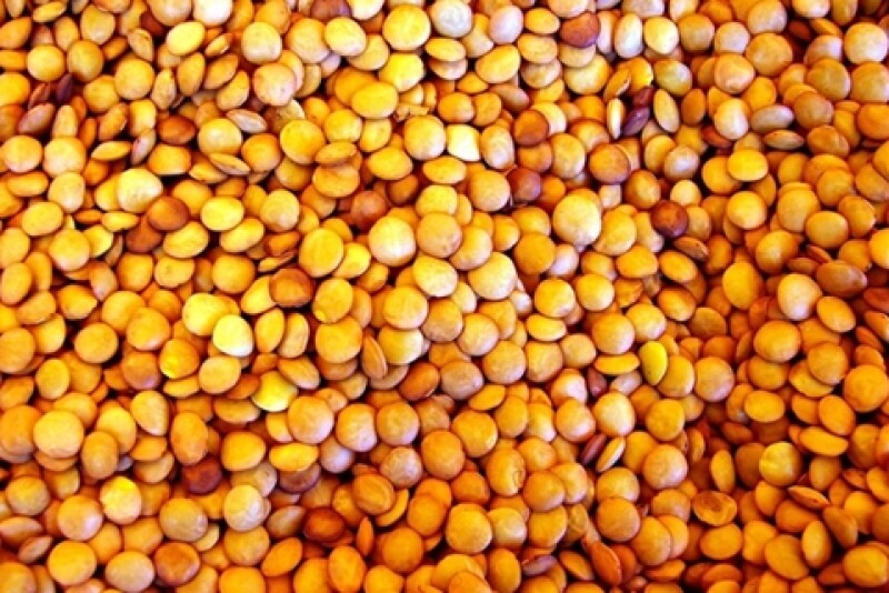 pea_freeimages