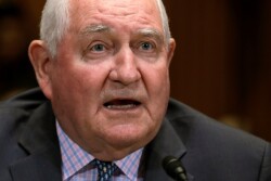 U.S. Ag Secretary Sonny Perdue