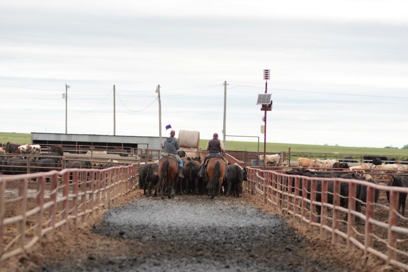 For every rural stock person available, there are two job openings.