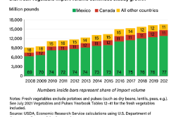 US imports