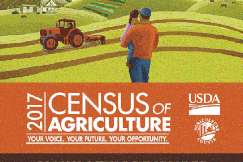 Census