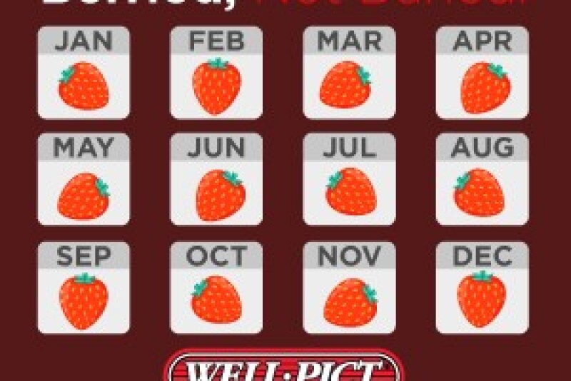 Well-Pict