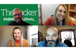Clockwise from top left: Tom Karst, Ashley Nickle, Chris Koger, Amy Sowder