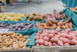 Potatoes_sales