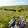 solar_fence_charger_Wyatt_Bechtel