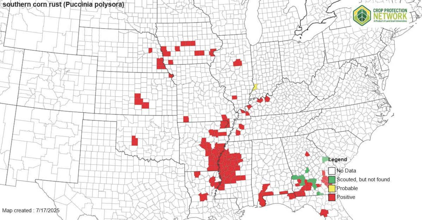 Put On Your Scouting Hat: Check for Southern Rust in Corn and White ...