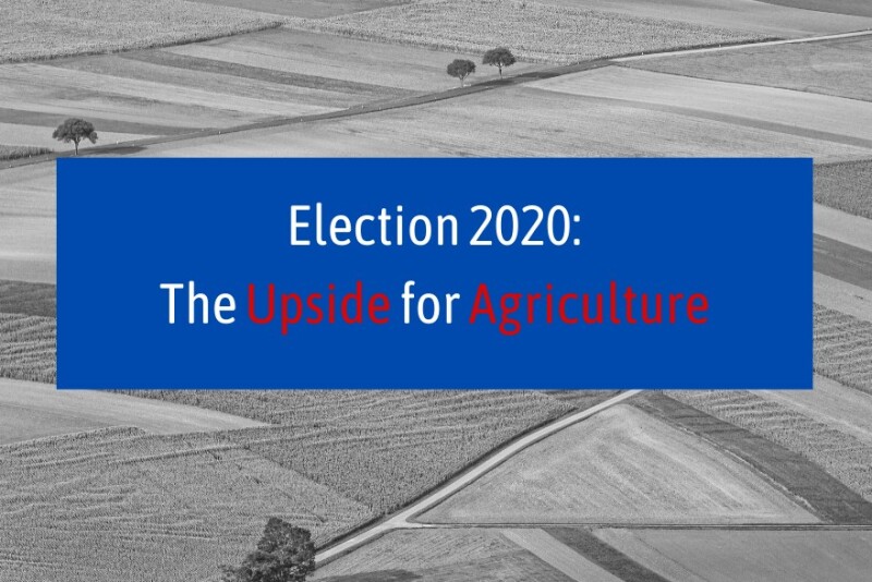 Regardless of the election outcome, Pro Farmer’s Jim Wiesemeyer and Farm Journal’s John Herath say there are potential positives and negatives for agriculture in either a Trump or Biden presidency.