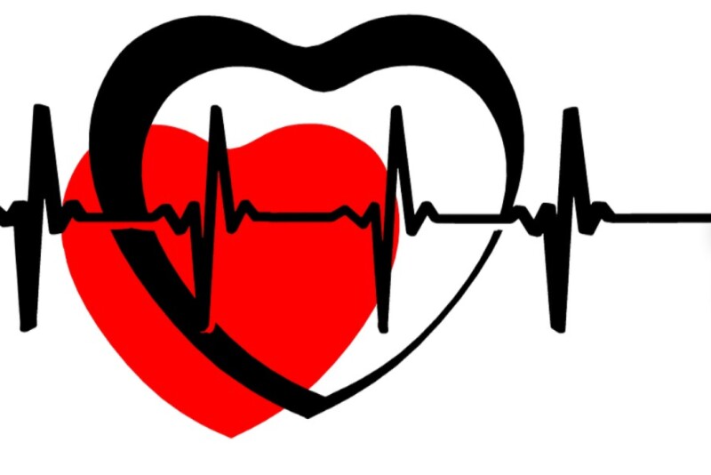 Veterinary technicians can keep the heart of the practice beating, if they're utilized effectively. 