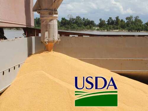 USDA-corn-exports.jpg