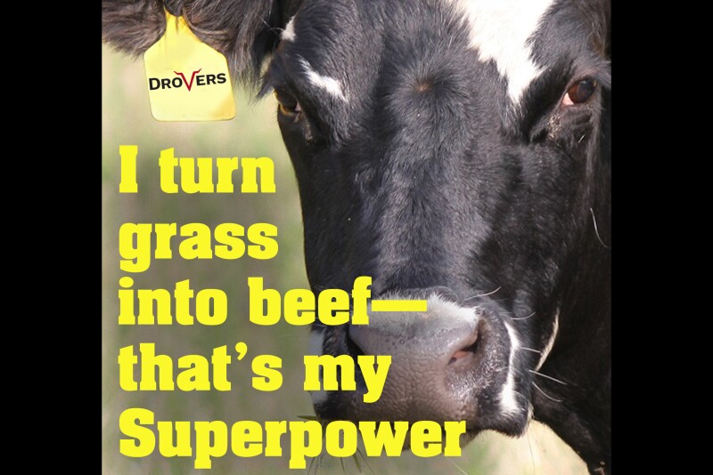 What's your superpower?