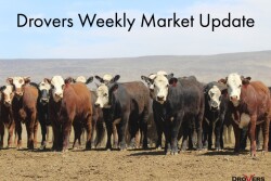 Drovers-Market-Image_0.jpg