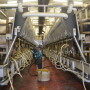 DT_Dairy_Parlor