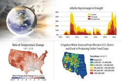 water scarcity