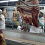 Environmental groups are pushing U.S. securities regulators to thwart JBS SA's New York share listing over concerns about the world's largest meatpacker's impact on deforestation, climate change and other issues.