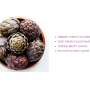 Ocean Mist's purple artichoke variety complements its green artichoke offerings.